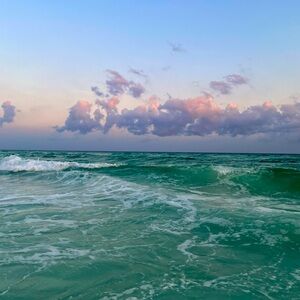 Meet your Posher, Aqua!